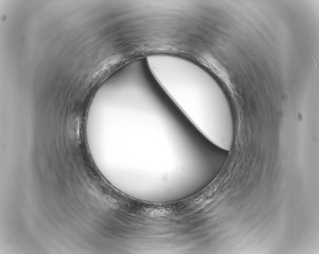 X0000088200115200705151322