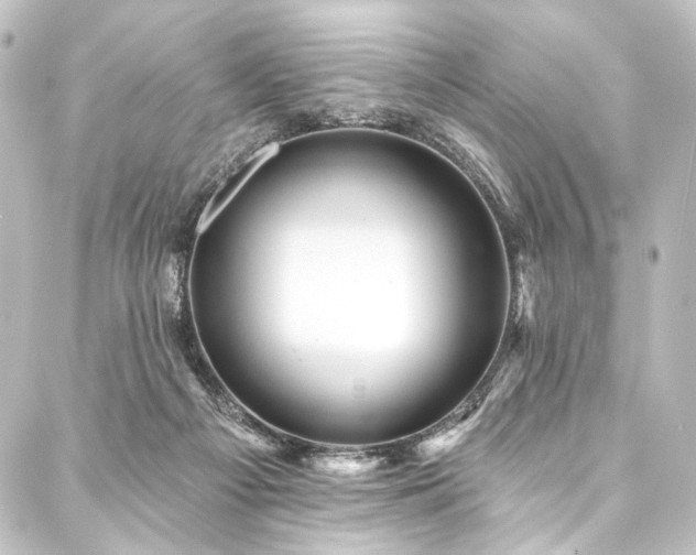 X0000088200121200705151322