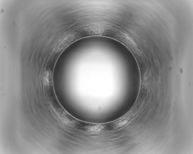 X0000088200122200705151322
