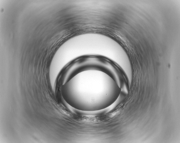 X0000088200125200705151322