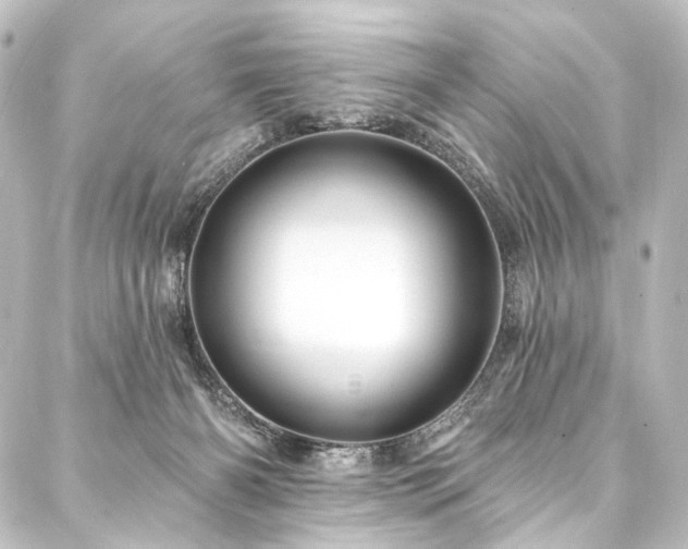 X0000088200126200705151322
