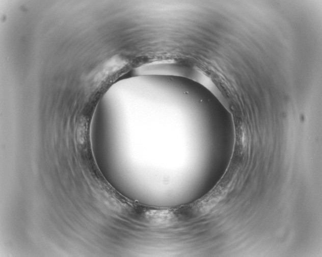X0000088200133200705151322