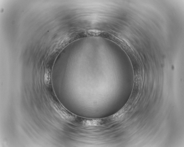 X0000088200134200705151322