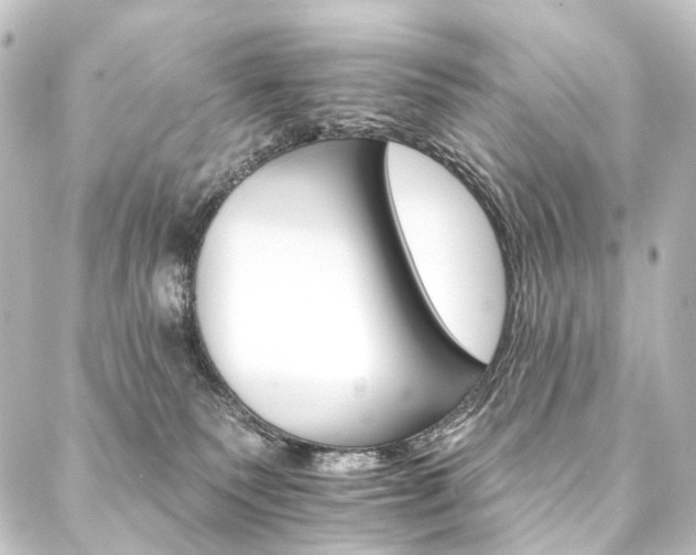 X0000088200135200705151322