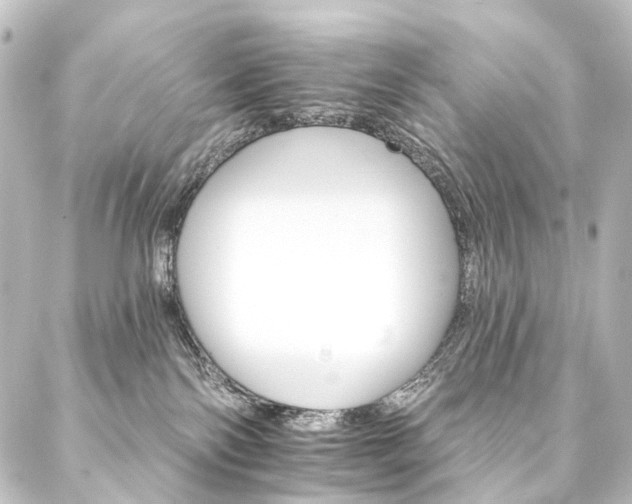 X0000088200138200705151322