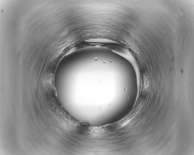 X0000088200141200705151322