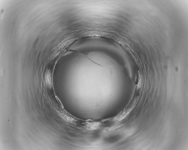 X0000088200143200705151322
