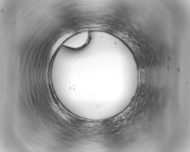 X0000088200147200705151321