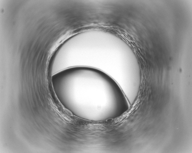 X0000088200150200705151321