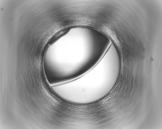 X0000088200156200705151321