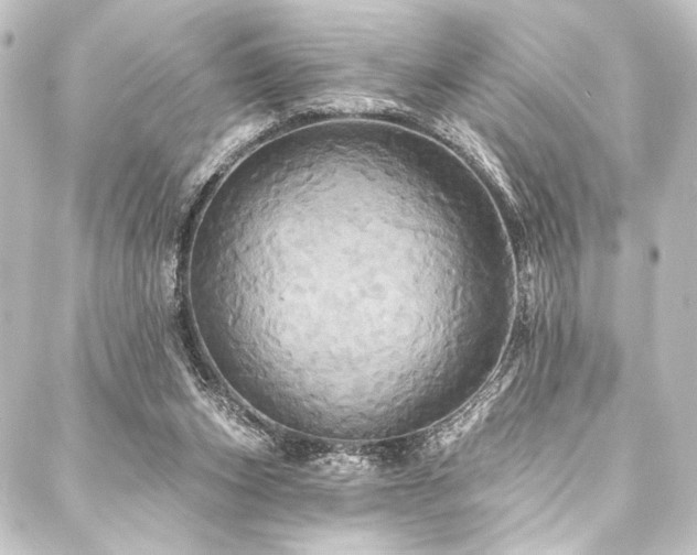 X0000088200159200705151321