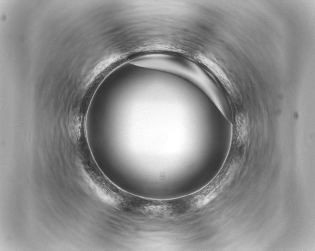 X0000088200160200705151321