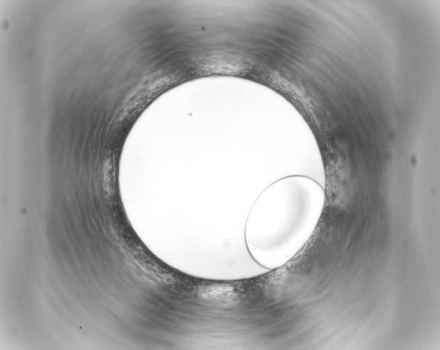 X0000088200162200705151321