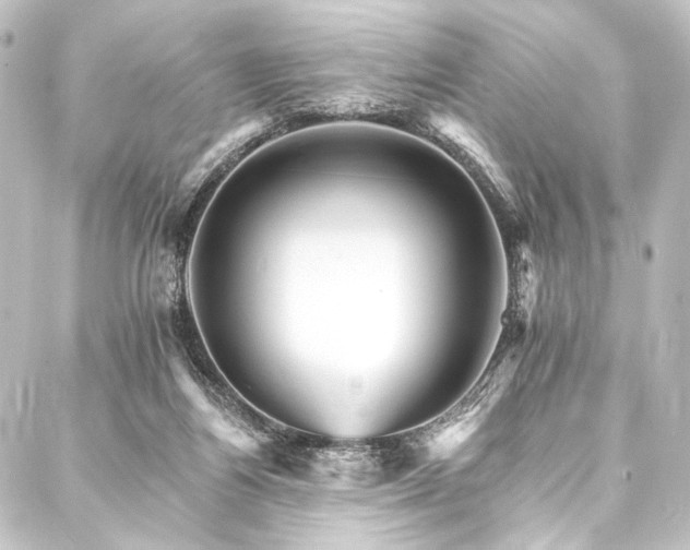 X0000088200164200705151321