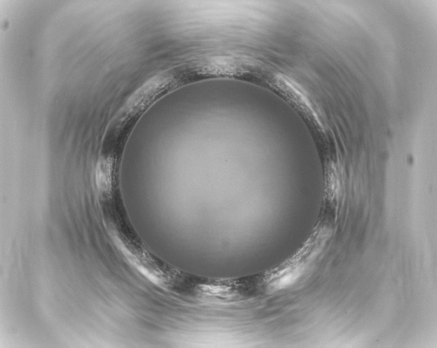 X0000088200167200705151321