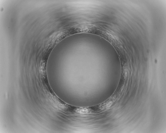 X0000088200181200705151322