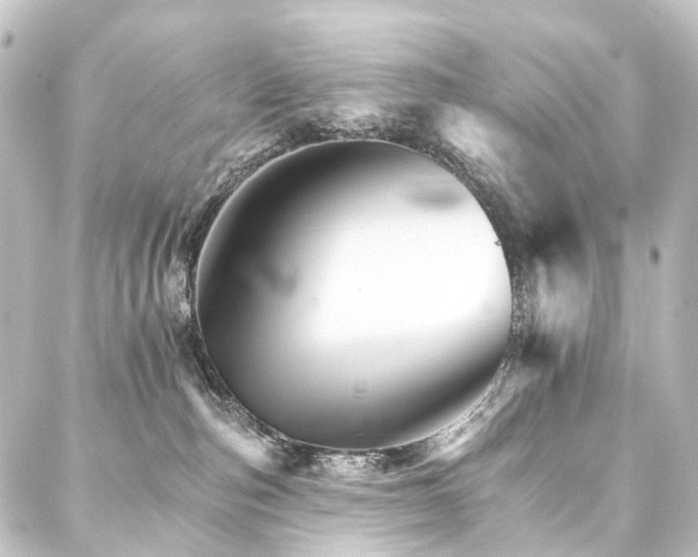 X0000088200187200705151322