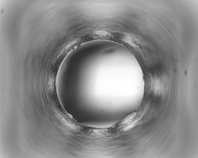 X0000088200188200705151322