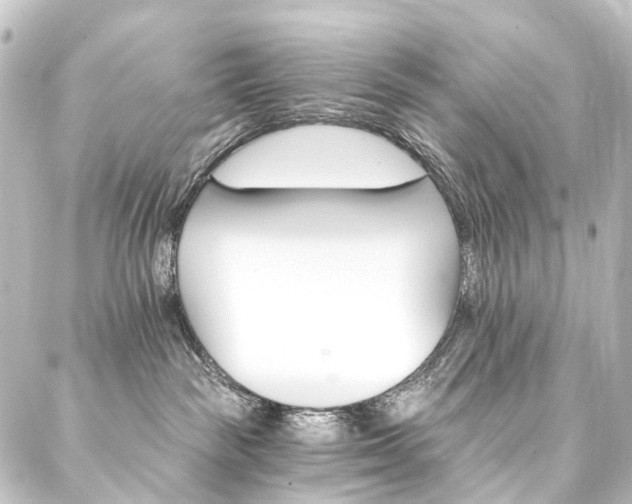 X0000088200189200705151322
