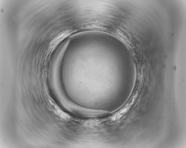 X0000088200193200705151321