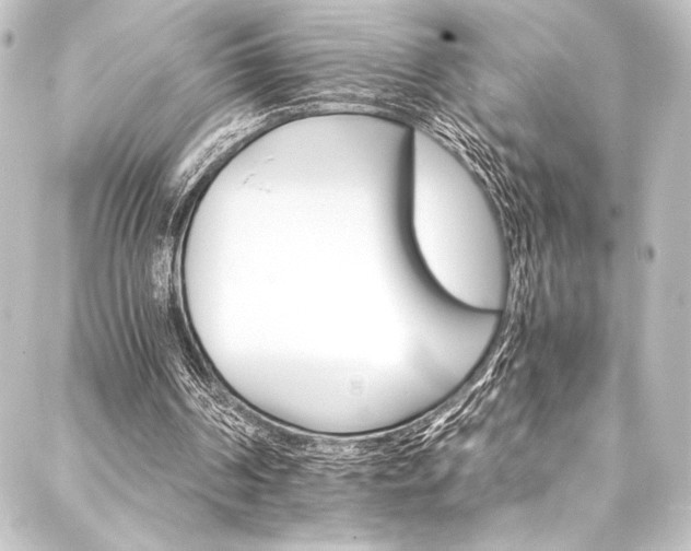 X0000088200194200705151321