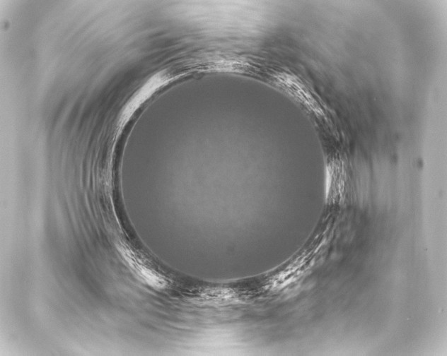 X0000088200195200705151321