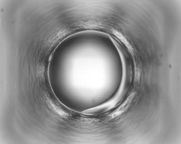 X0000088200201200705151321