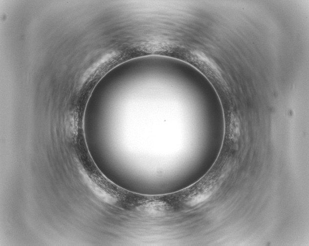 X0000088200210200705151321