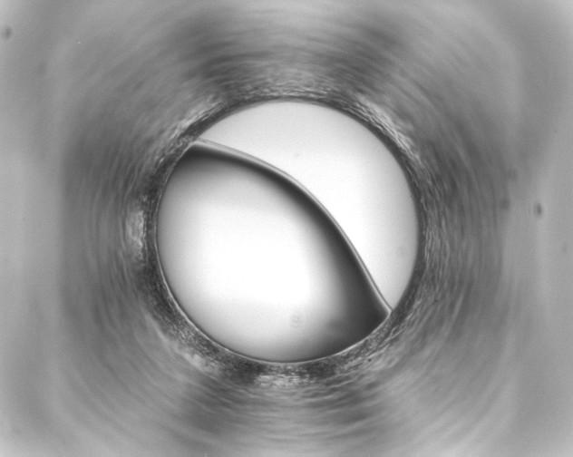 X0000088200211200705151321
