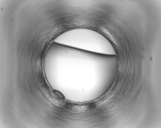 X0000088200213200705151321