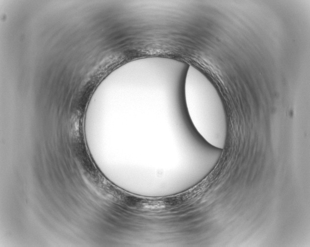 X0000088200214200705151321