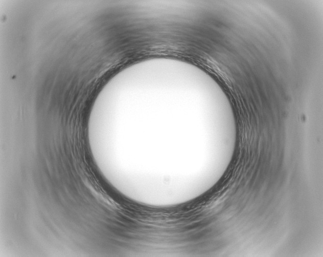 X0000088200215200705151321