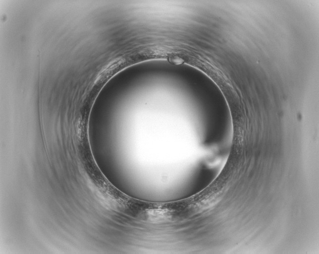 X0000088200216200705151321