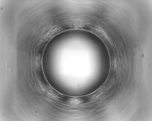 X0000088200218200705151321