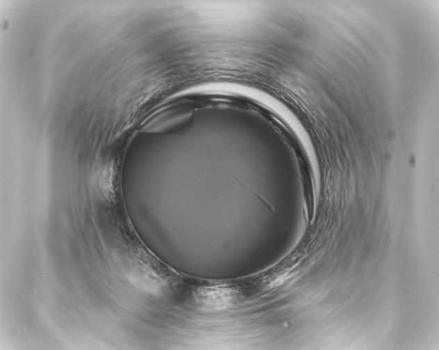 X0000088200219200705151321