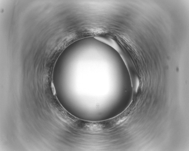 X0000088200221200705151321
