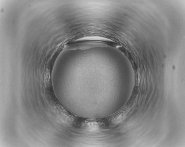 X0000088200228200705151321