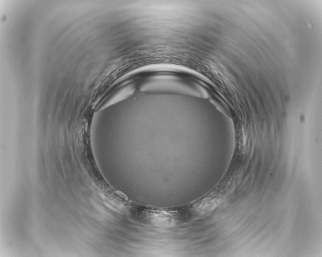 X0000088200229200705151321