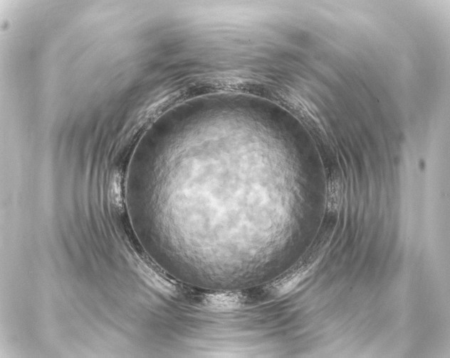 X0000088200238200705151320