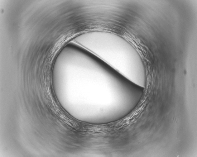X0000088200241200705151320
