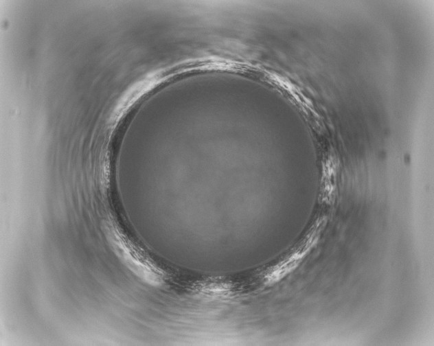 X0000088200247200705151320