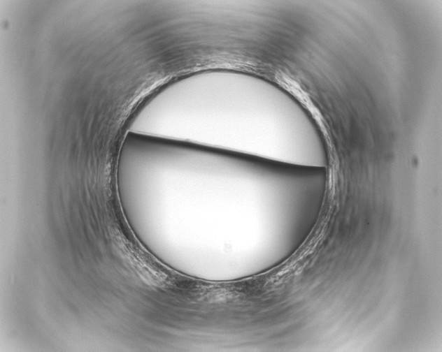 X0000088200249200705151320