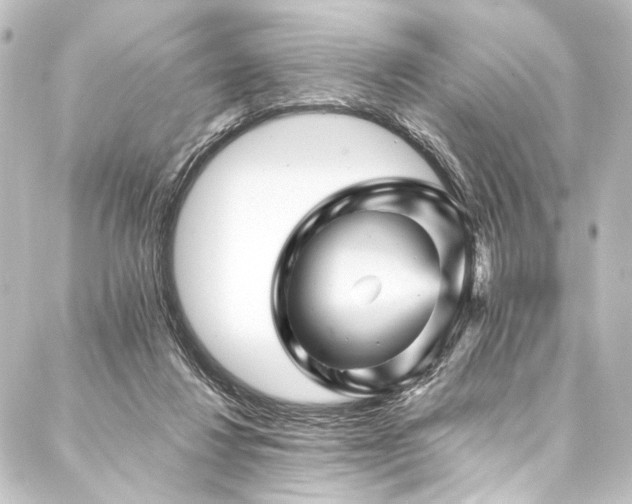 X0000088200260200705151320