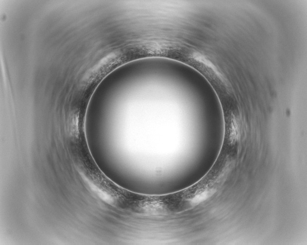 X0000088200262200705151320