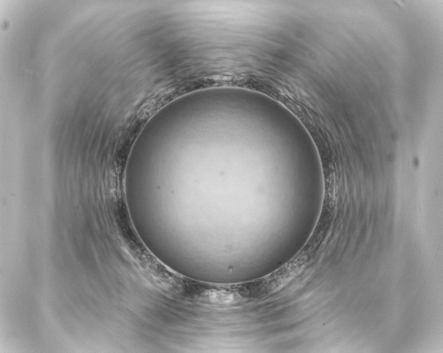 X0000088200272200705151320