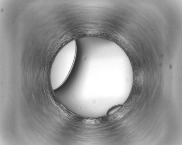 X0000088200277200705151320
