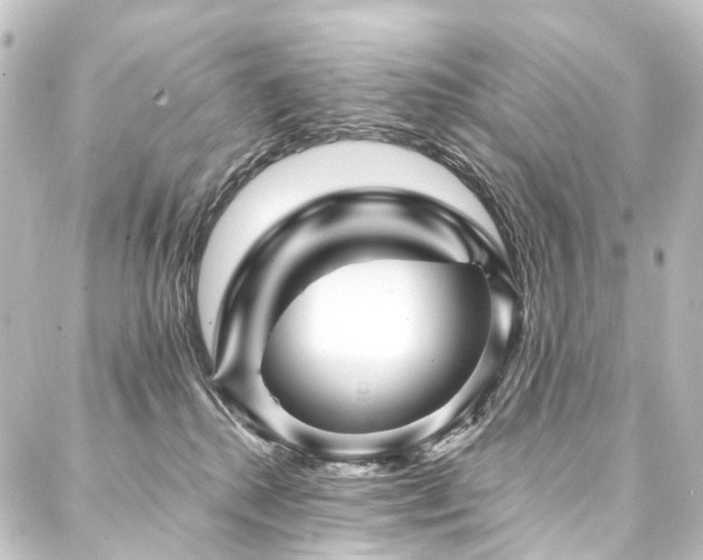 X0000088200280200705151320