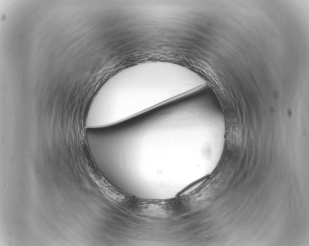 X0000088200285200705151320