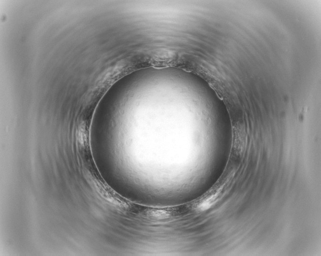 X0000088200287200705151320