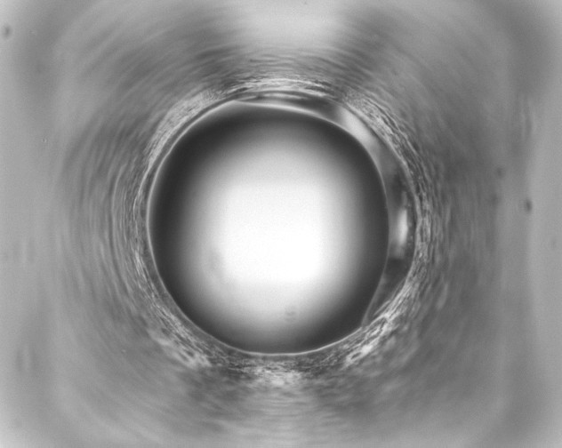 X0000088200289200705151320